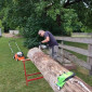 Baum